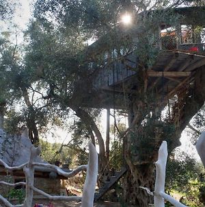 Margaritis'S Treehouse Βίλα Παραμόνας Exterior photo