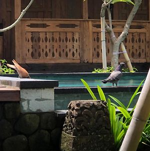 Melati Bali Homestay Canggu Exterior photo