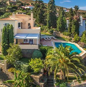 Hortensia Villa With Marvelous Multi-Level Garden Άνδρος Exterior photo