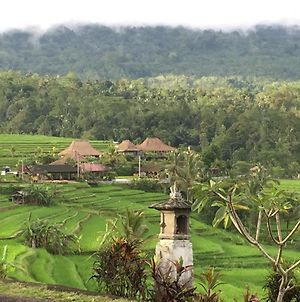 The Hidden Bali Inn Ουμπούντ Exterior photo