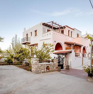 Chalki Apartments - Naxos Khalkíon Exterior photo