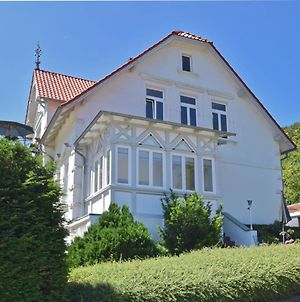 Bright Ground Floor Apartment In Blankenburg In The Harz Mountains With Wood Stove And Library Exterior photo
