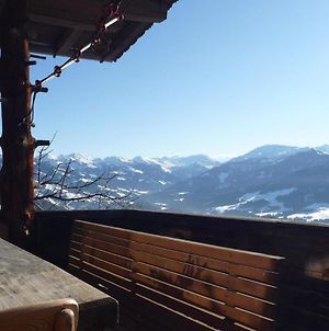 Sunlit Chalet Near Ski Area In Hopfgarten Im Brixental Βίλα Exterior photo