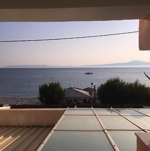 One bedroom appartement at Ακpογιάλι 10 m away from the beach with sea view enclosed garden&wifi Ακρογιάλι Exterior photo