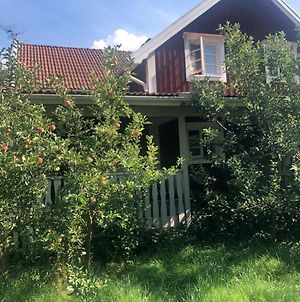 Musteriet I Djursdala Bed and Breakfast Vimmerby Exterior photo