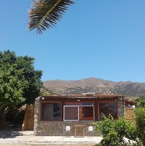 Antonis'S Palm House Βίλα Τσούτσουρος Exterior photo