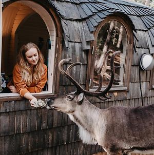 Igluhut - Sleep With Reindeer Βίλα Εσπού Exterior photo