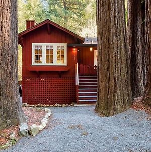Redwood Retreat! Redwoods! Walk To River!! Hot Tub!! Bbq! Central Air!! Βίλα Guerneville Exterior photo
