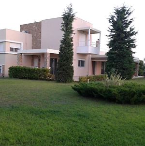 Villa Achilleos Ποσείδι Exterior photo