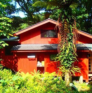 Yahisashi Cotergi 対流 山荘 Βίλα Yakushima  Exterior photo