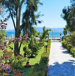 Amarynthos Beachfront Vacation House With Garden Vatheia Exterior photo