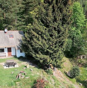 Cosy Small Holiday Home At The Edge Of The Forest With A Magnificent View Malá Skála Exterior photo
