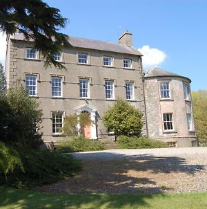 Ballydugan Country House Bed and Breakfast Downpatrick Exterior photo