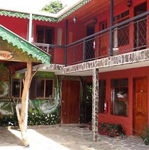 Manakin Bird Lodge Monteverde Exterior photo