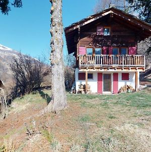 Idyllic Chalet In Evolene, With View On The Dent Blanche And The Mountains Διαμέρισμα Exterior photo