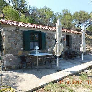 Stone Cottage For Couple Θάνος Exterior photo