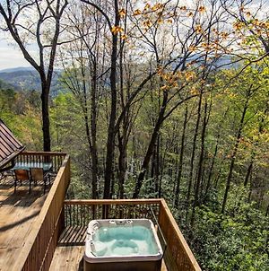 Bear View Chalet With Hot Tub And Near Ober Βίλα Gatlinburg Exterior photo