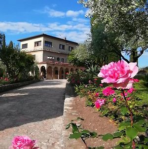 Villa Paradiso Σιρμιόνε Exterior photo