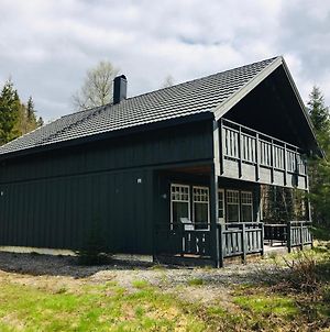 Hytte I Trysil Naer Osensjoen Med Sjoutsikt Βίλα Exterior photo