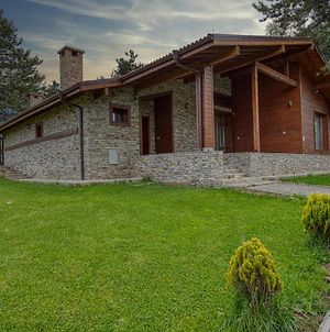 Pirin Style Villa & Spa Μπάνσκο Exterior photo