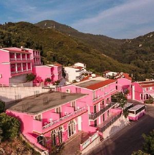 Pink Palace Beach Resort Άγιος Γόρδιος Exterior photo