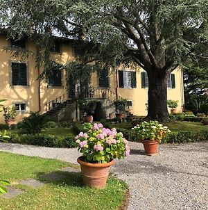 Villa Leoni Capannori Exterior photo
