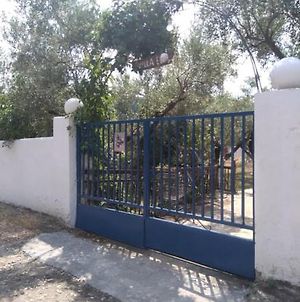 Villa Elli Metokhion Agios Grigoriou Exterior photo