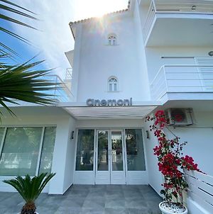 Anemoni Beach Hotel Σκιάθος Πόλη Exterior photo