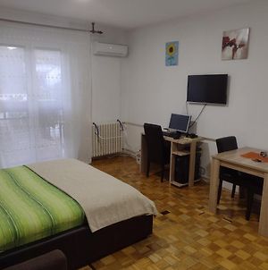Apartman Vesna Διαμέρισμα Banja Koviljača Exterior photo