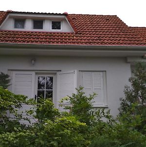 Dovolenkovy Dom Priamo Na Brehu Βίλα Dunajská Streda Exterior photo