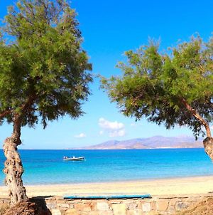 The Nine Graces - Agios Prokopios Beach Villas With Private Swimming Pools Exterior photo