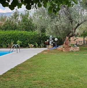 Beautiful Villa With Swimming Pool Near Nafplion Metochi  Exterior photo