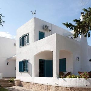 Villa Velissarios: Wonderful Villa Next To Beach Αίγινα Exterior photo