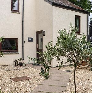 Camellia Cottage Bodmin Exterior photo