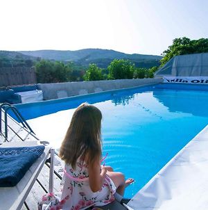 Villa Olive Tree With Private Pool & Jacuzzi Κίσσαμος Exterior photo