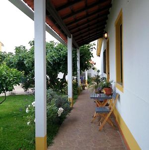 Casa Dos Pingos De Mel Bed and Breakfast Αβέιρο Exterior photo