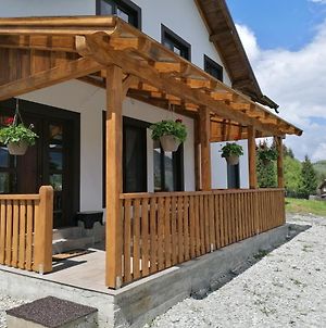 Vila Andrei Βίλα Colibiţa Exterior photo