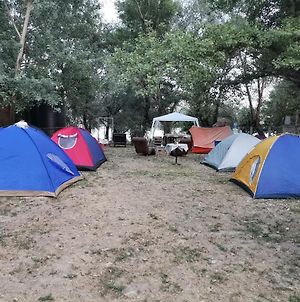 Exit Camping With Bungalow, Mobile Home, Tents, And Empty Spots With Private Acces To The Beach Νόβι Σαντ Exterior photo