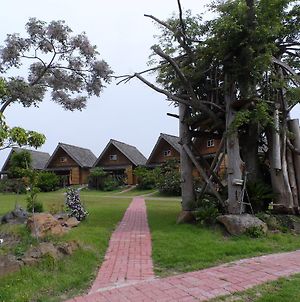 Tree House Διαμέρισμα Σεογκουίπο Exterior photo