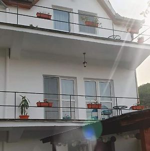 Vila Rose Ξενοδοχείο Dubova Exterior photo