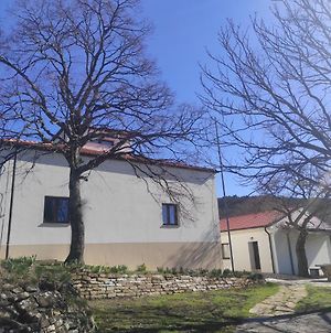 Park Istra Guest House Κόπερ Exterior photo