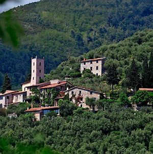 Peralta Tuscany Βίλα Camaiore Exterior photo