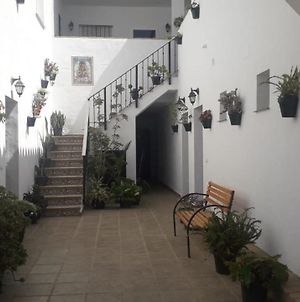 Casa Pacheco Ξενοδοχείο Conil De La Frontera Exterior photo