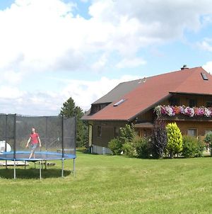 Ferienwohnung Reiner Schonach im Schwarzwald Exterior photo