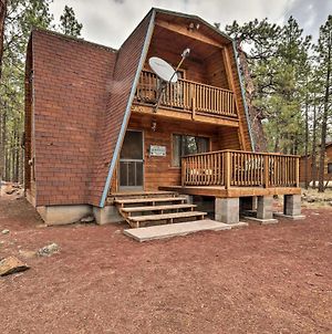 Cabin By Grand Canyon Backing To Natl Forest Βίλα Williams Exterior photo