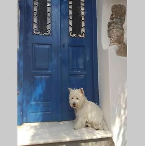 Blue & White: An Absolute Aegean Dream House Βίλα Γαλήνη Exterior photo