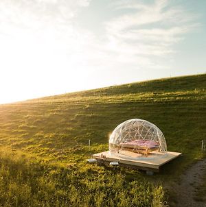 Bubble-Suite Mit Blick Auf Die Alpenkette Fahrni Exterior photo