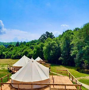 Forest Glamping Ξενοδοχείο Μπρασόβ Exterior photo