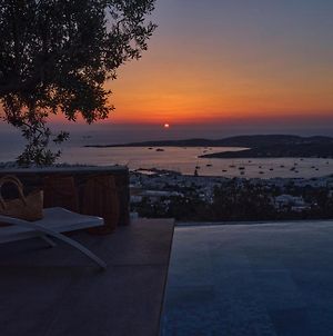 Infinity Sea View Cosy Villa With Private Pool Παροικιά Exterior photo