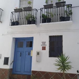 Casa La Piedra Βίλα Cómpeta Exterior photo